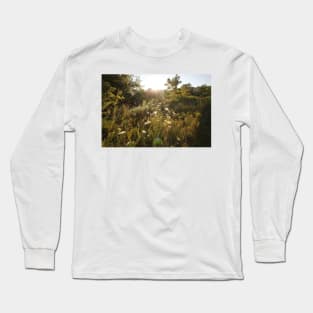 Queen Anne&#39;s Lace at Sunrise Long Sleeve T-Shirt